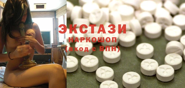 крисы Бородино