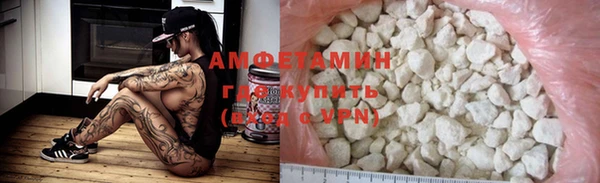 крисы Бородино