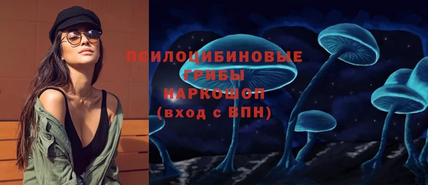 крисы Бородино