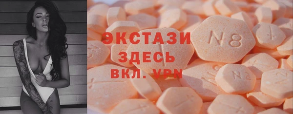 крисы Бородино