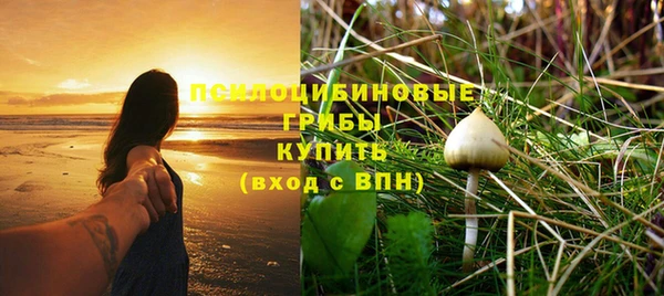 стаф Семилуки