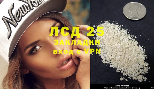 стаф Семилуки