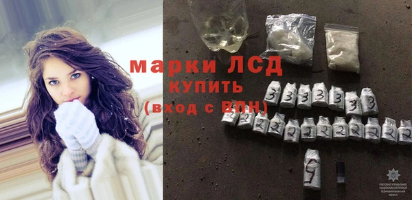 крисы Бородино